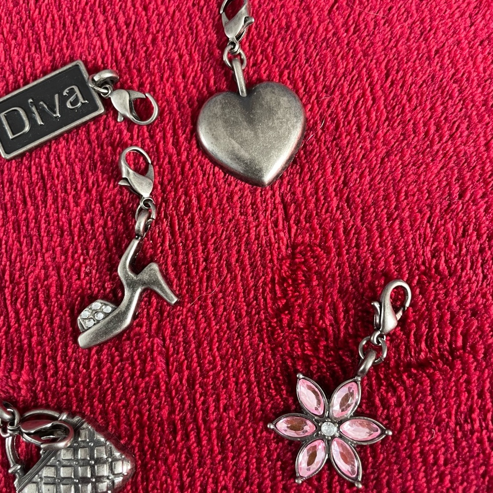Silver Charm Set with Pink Accents - Picture 2 of 3